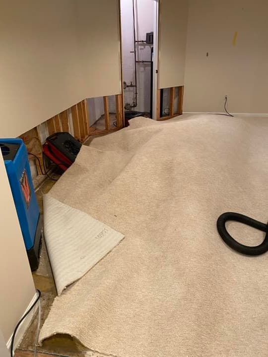 Basement with carpet pulled back for drying